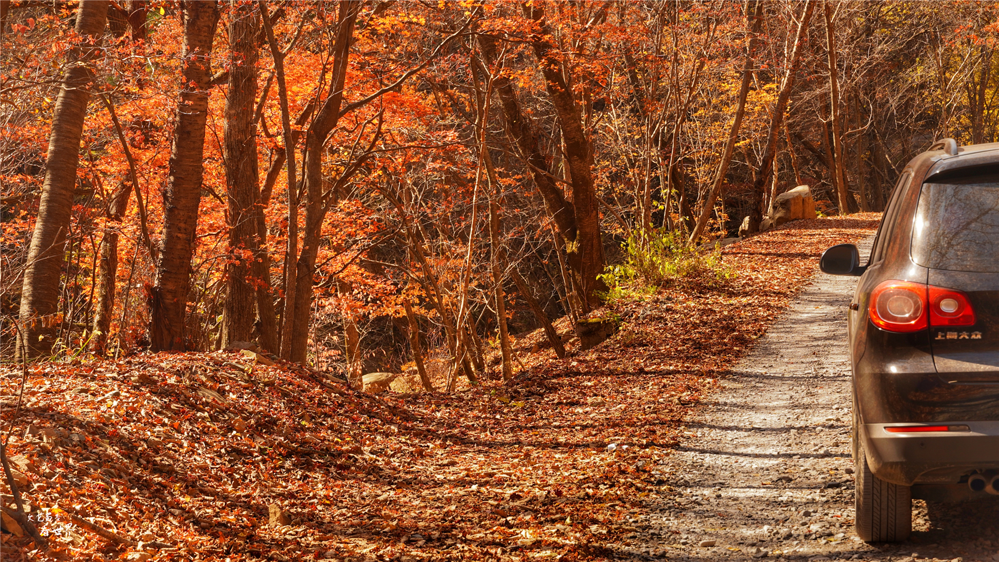 本溪关门山看枫叶最佳游览路线,本溪红叶层林尽染自驾游攻略