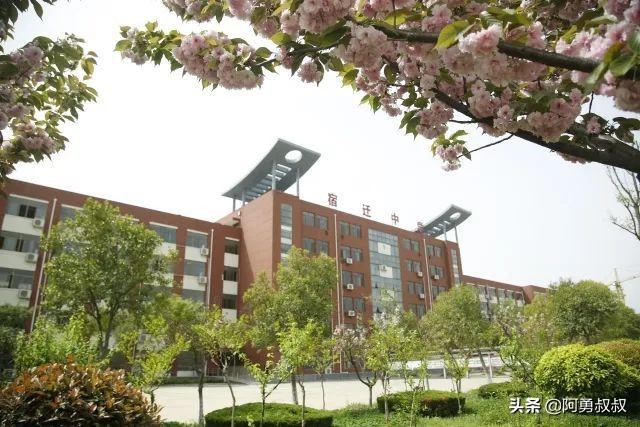 江苏百强高中宿迁,宿迁十大名校