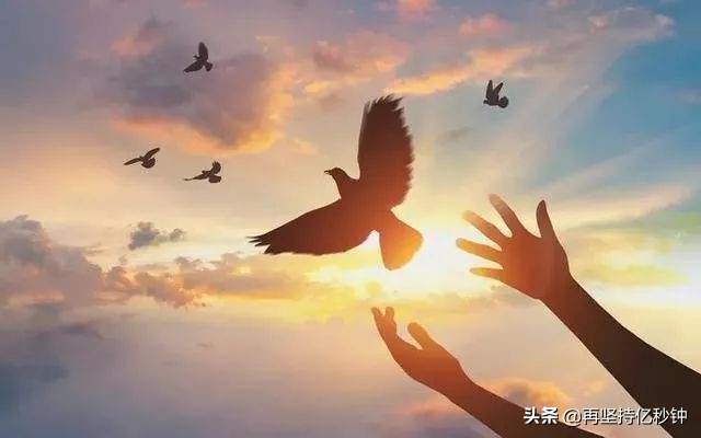 历史觉醒年代,觉醒年代与历史不同之处