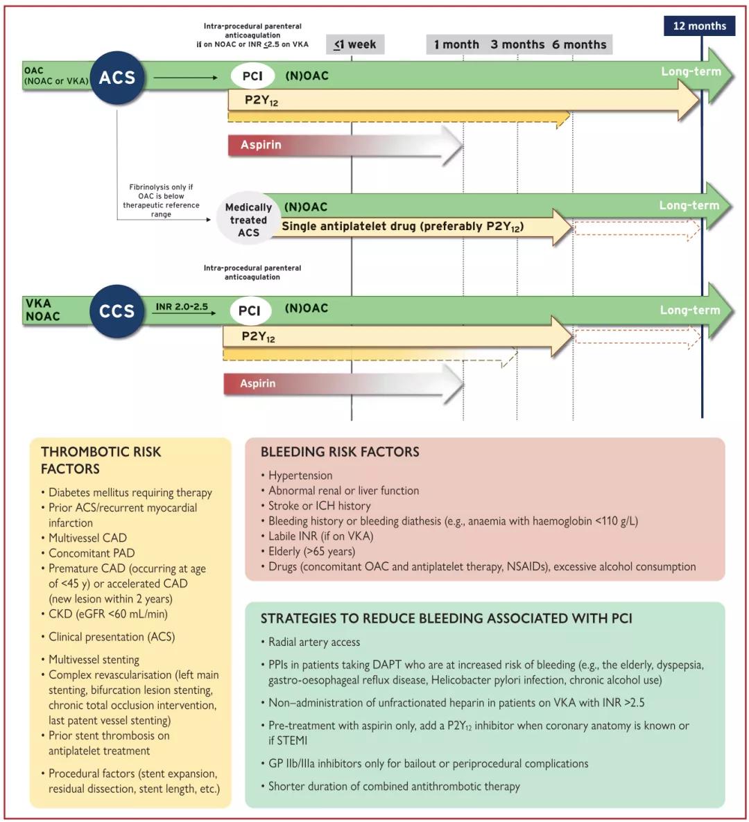 2020年欧洲心脏病学会房颤指南,国际最新房颤标准