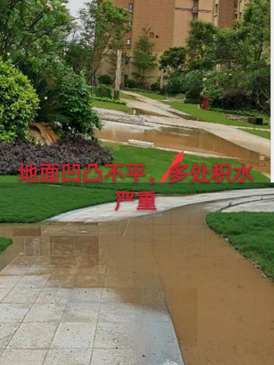 晋江新塘宝龙世家交房,宝龙世家新房开盘晋江池店