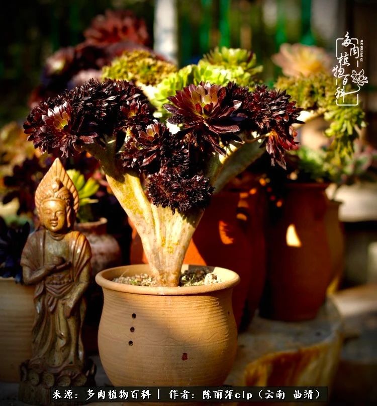 佛系看风景的地方,佛系风景空境视频