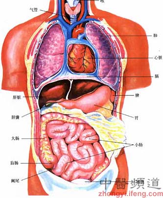 深度剖析阴阳五行是中医之根,聊聊中医的阴阳五行之阴阳篇