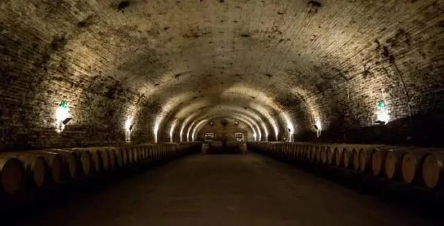 智利十大的酒庄排名榜最新,智利葡萄酒十大酒庄