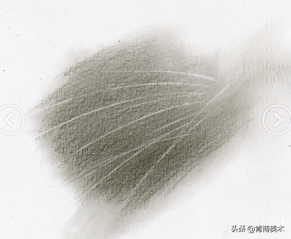 动物毛发素描,素描如何表现动物毛发