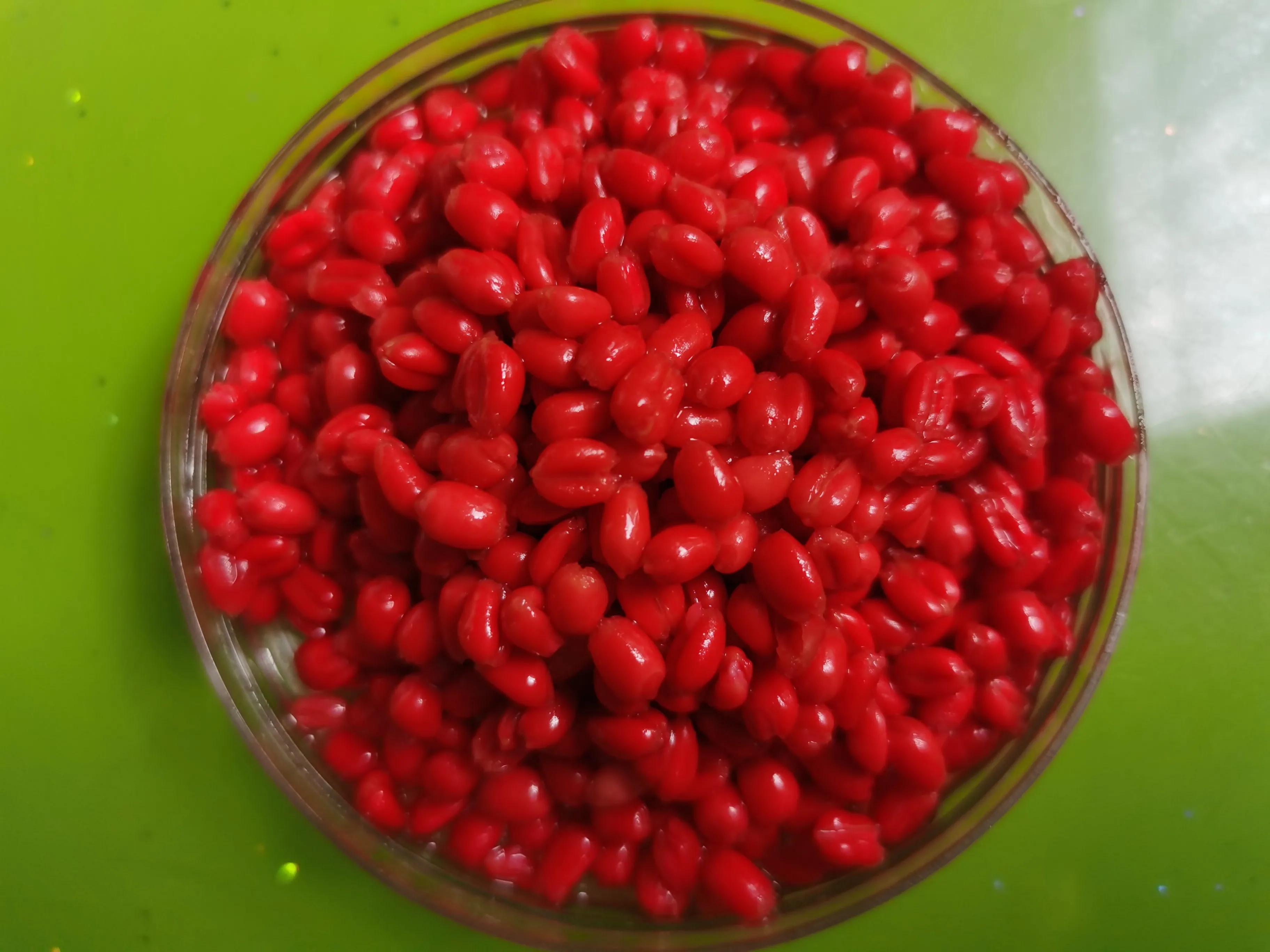 冬季用麦粒钓鲫鱼用麦粒怎么样,白条太多挂麦粒如何钓鲫鱼鲤鱼