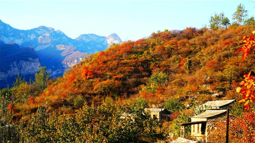 北京赏秋十大打卡地,北京赏秋