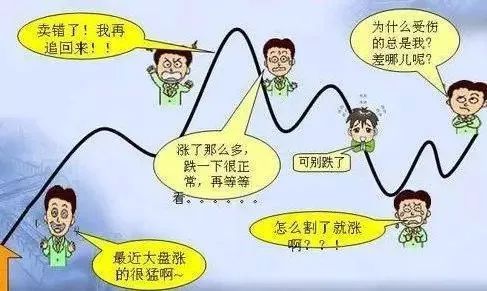 股市中不为人知的四个真相,股市不骗人的案例