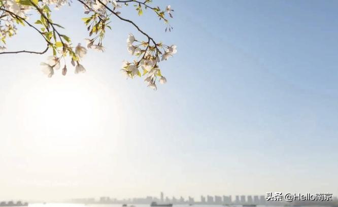 秋天的第一个打卡地,秋天里的第一道美景