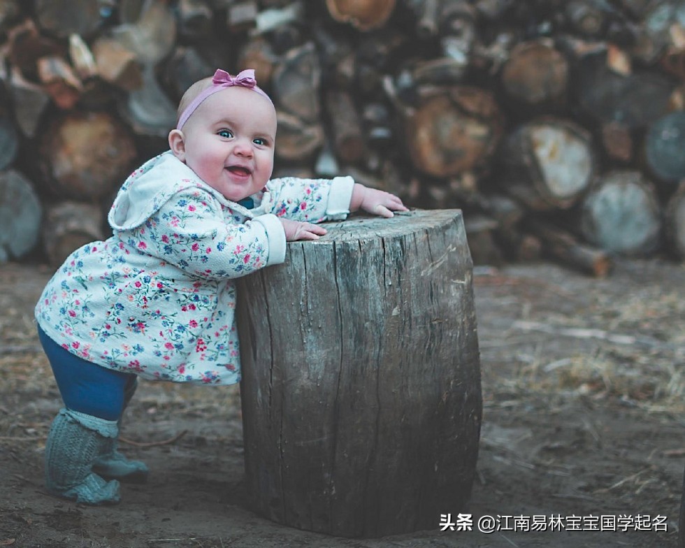 有涵养的女孩名字诗经,有气质涵养的女孩名字古诗词