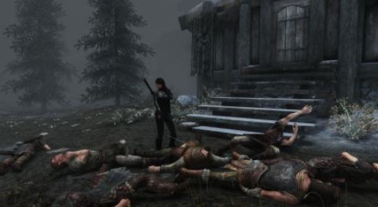 上古卷轴5杀死队友,上古卷轴5杀死npc会怎样