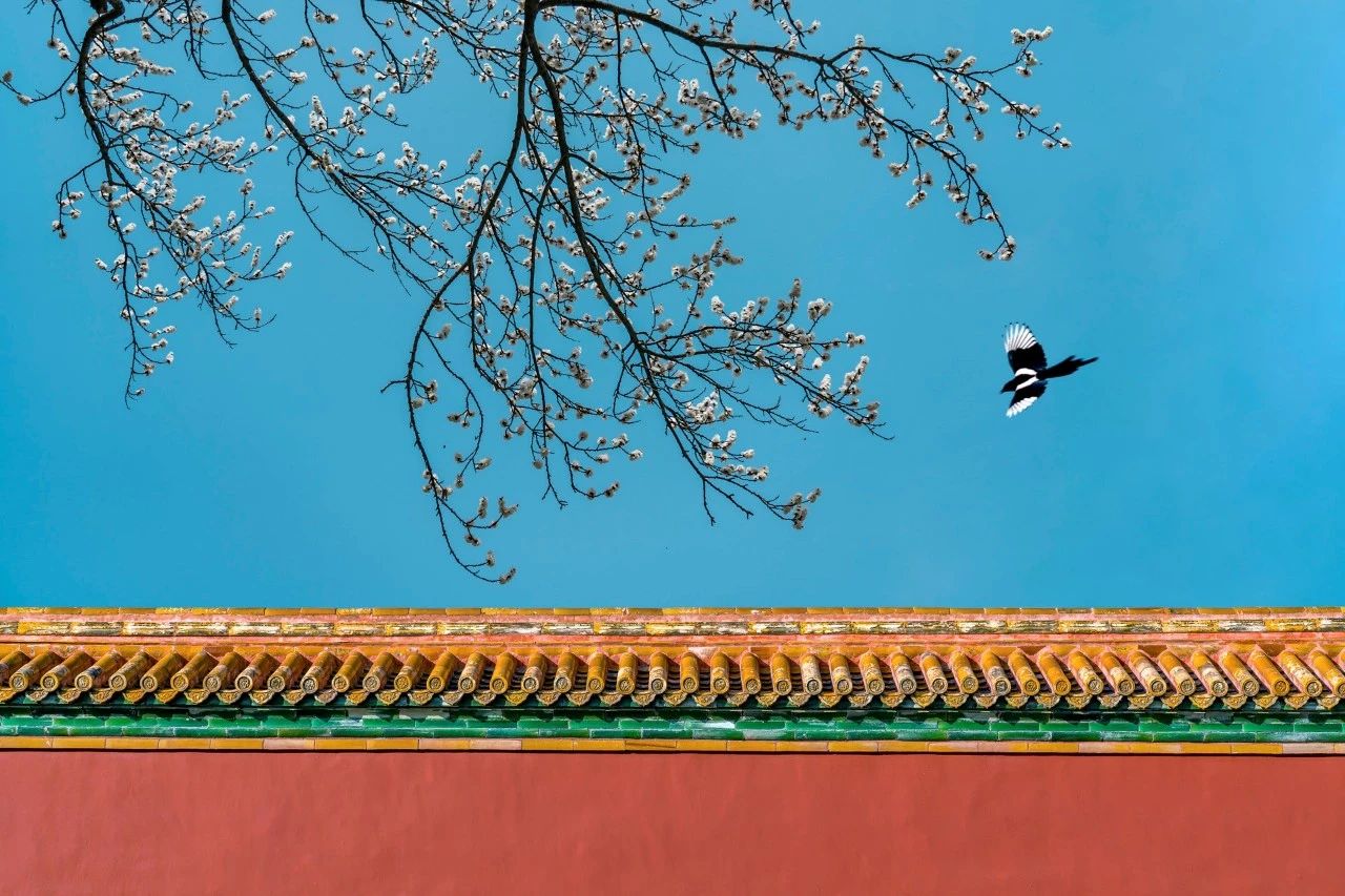 暮春十大经典诗词,七首唯美暮春诗词