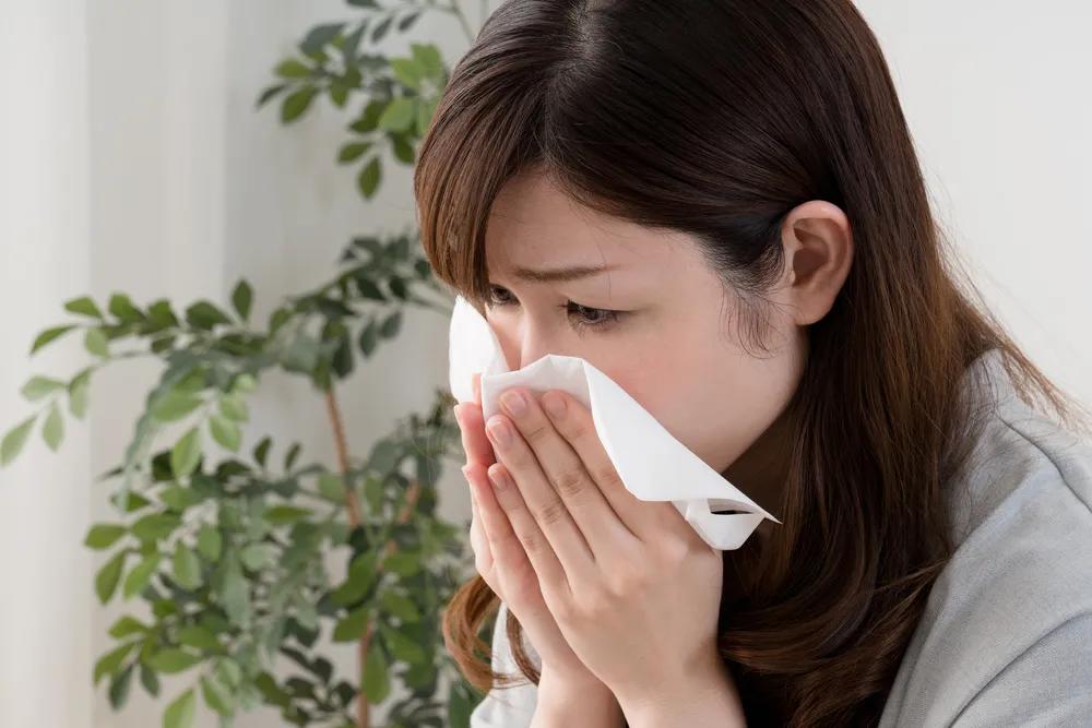 鼻子好像有鼻涕擤不出来还不通气,鼻子不通气使劲擤出来黄鼻涕