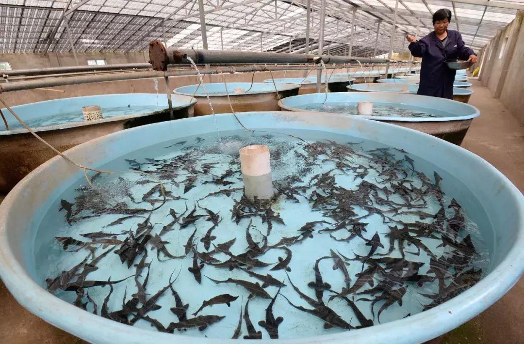 乡村振兴债券在哪里交易,企业发行乡村振兴债券的好处