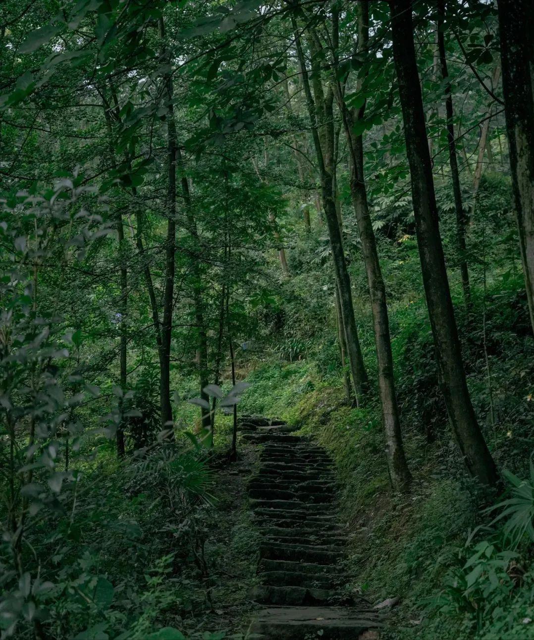 国庆成都周边旅游攻略推荐,成都周边旅游国庆2-3天推荐地方