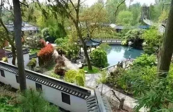 外国人为什么这么喜欢大熊猫呢,外国人究竟有多爱大熊猫