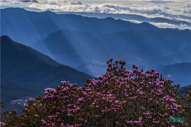 丽江避暑居住攻略,丽江避暑旅游攻略