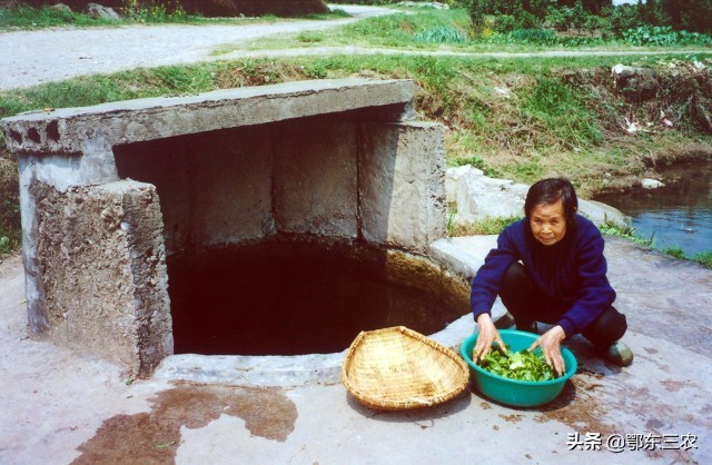 农村过去水井里,为什么总要养几条小鱼,挑水时候先看看鱼再挑?