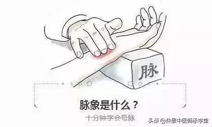 张锡纯脉学，左右脉不同，取舍与开方。