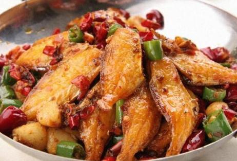 被误解的动物鱼,被误解的鱼