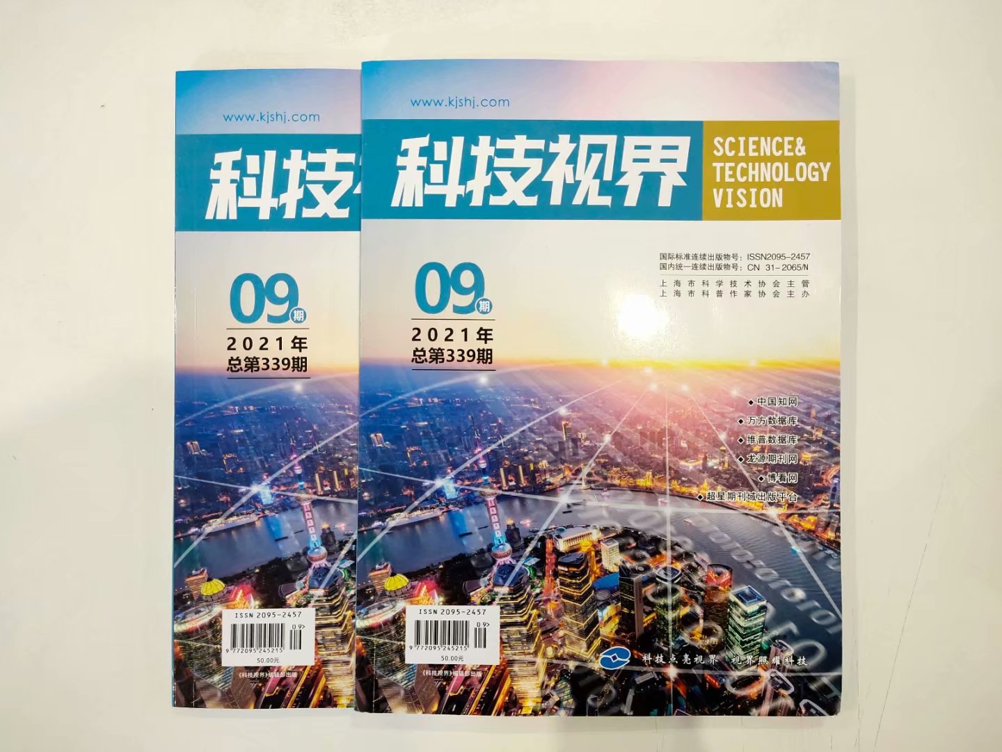 涓浗绉戞妧璁哄潧鏈熷垔鎶曠瑕佹眰,绉戞妧瑙嗙晫鏈熷垔