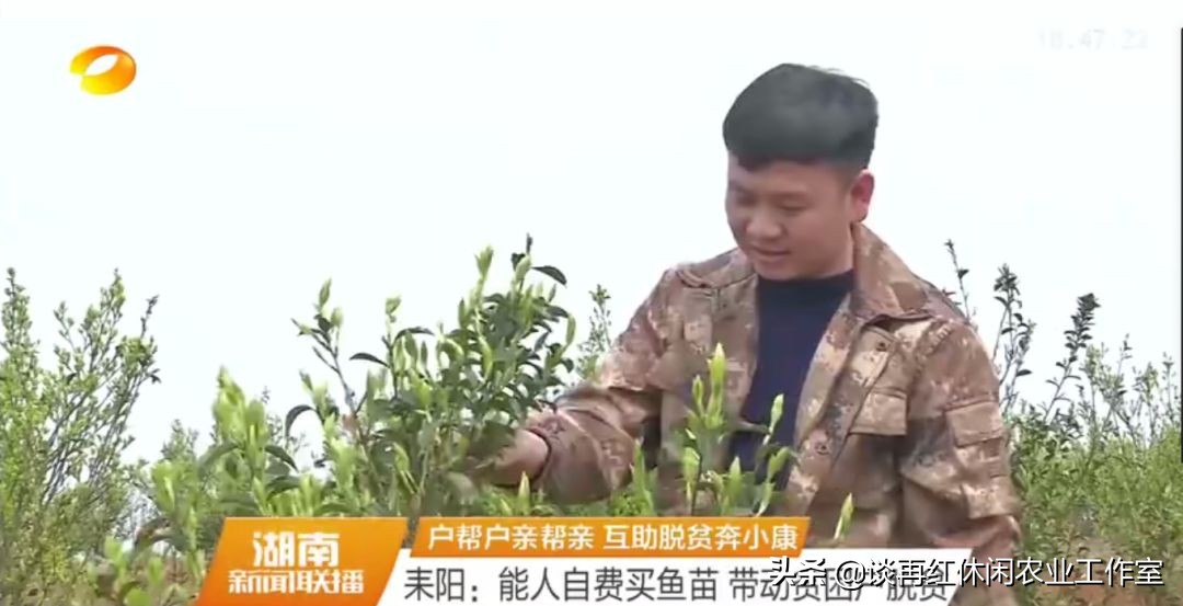 短短两年，荣华村挖掘地标品牌脱贫致富，乡村振兴并不遥远！