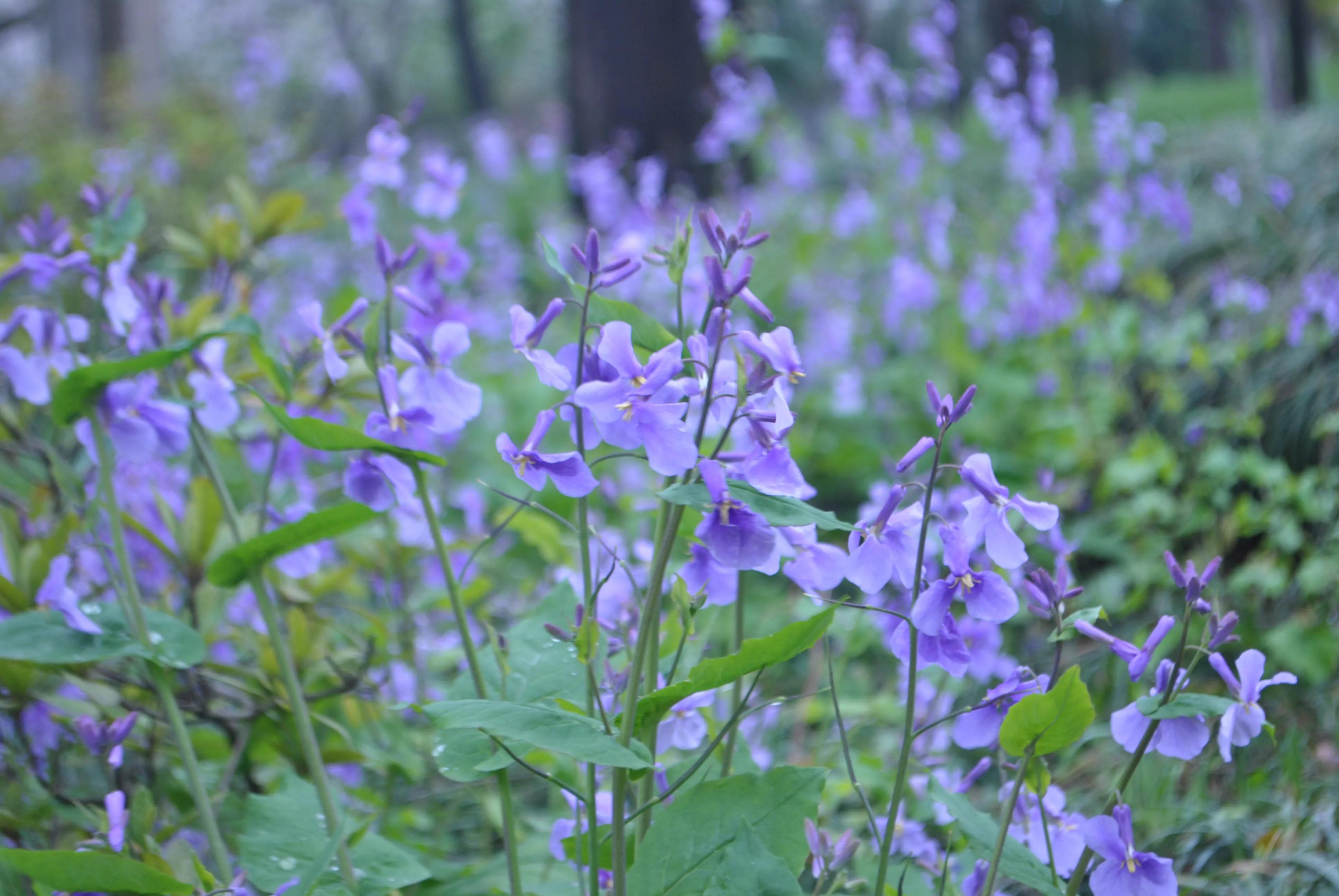 买二手笔记本电脑要注意什么,买二手手提电脑要注意什么