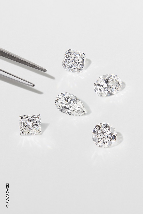 施华洛世奇维密秀完整版,施华洛世奇polarbestiary