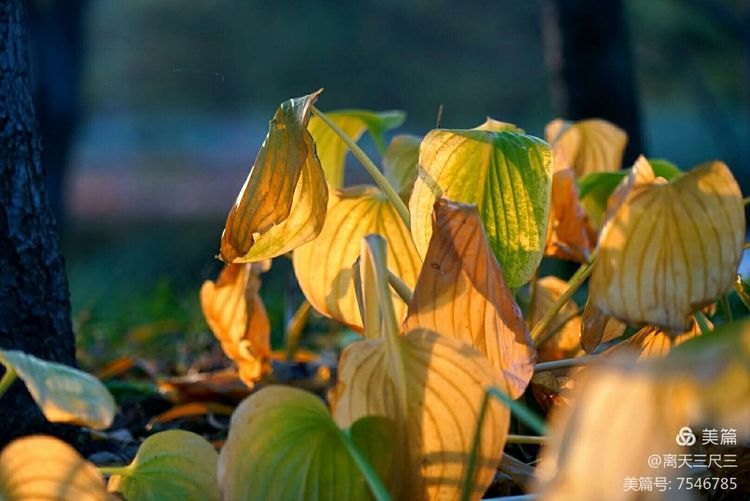 玉泉山北坞公园介绍,北坞村玉泉山
