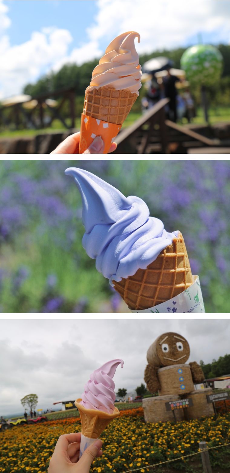 北海道七月的样子,北海道7月