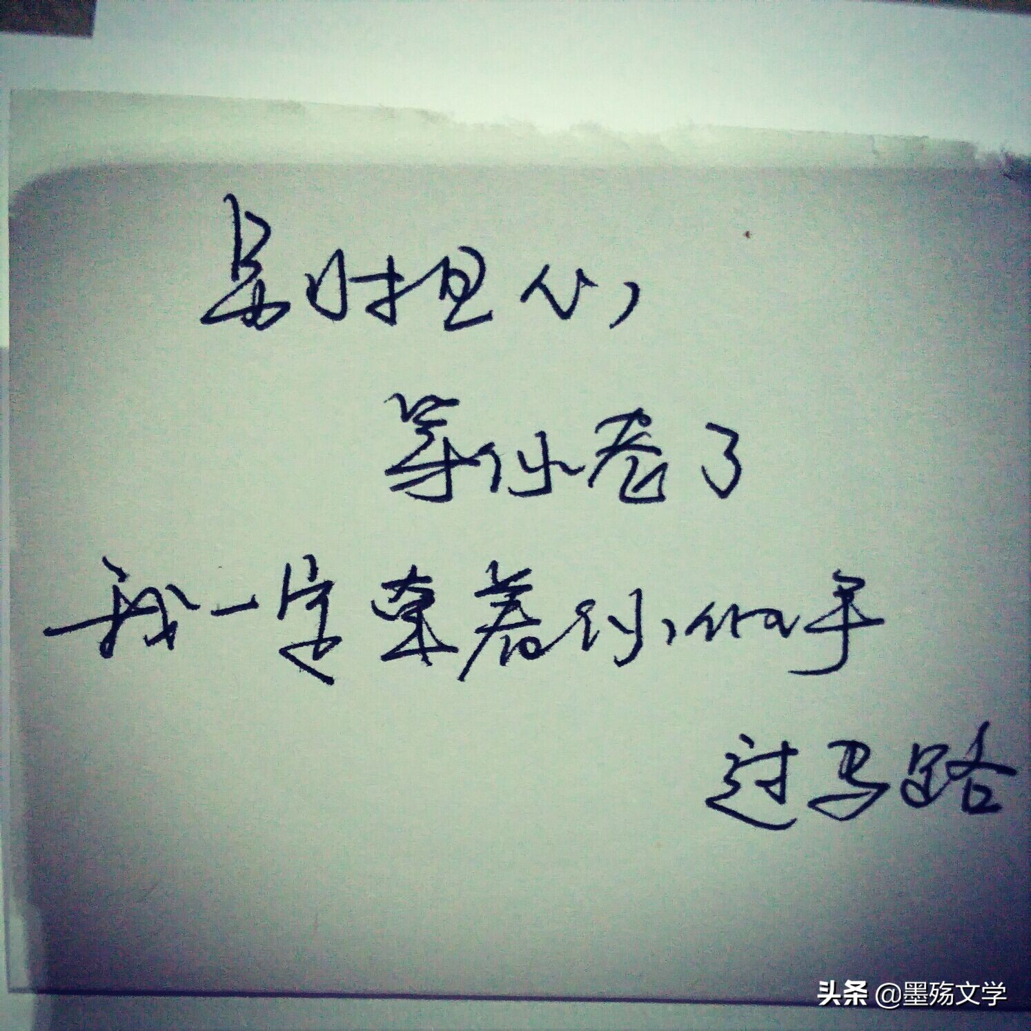 玉树琼花迎新春,玉树琼花