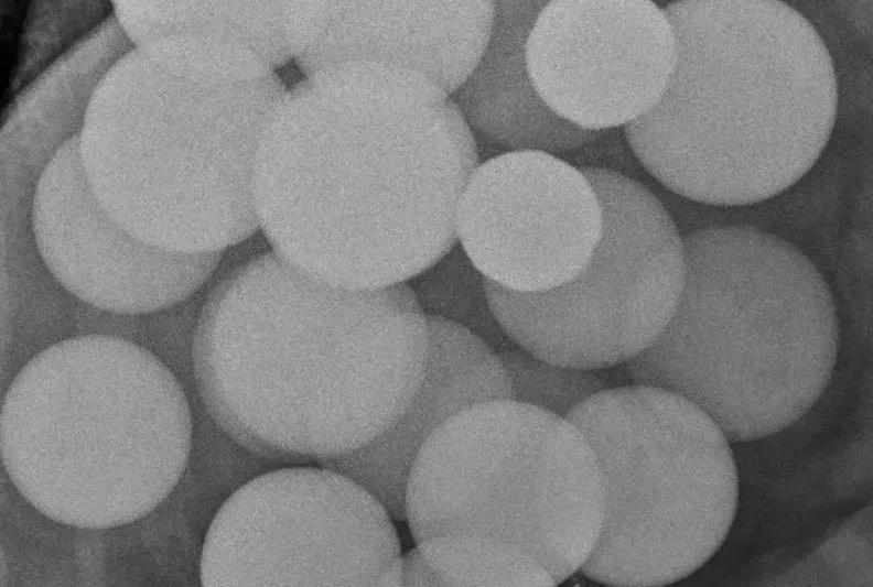 猫咪生吞维生素,猫咪生吞猫粮呕吐