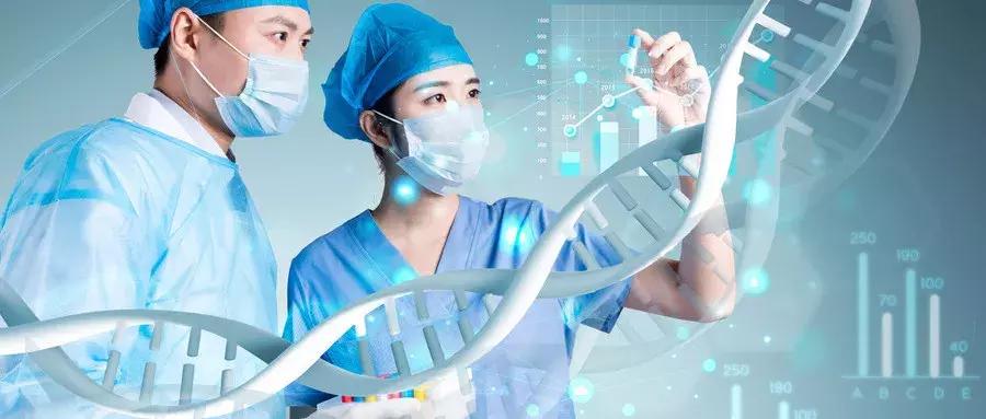 肠道菌群对人体健康的影响,什么中药对肠道菌群的调节作用