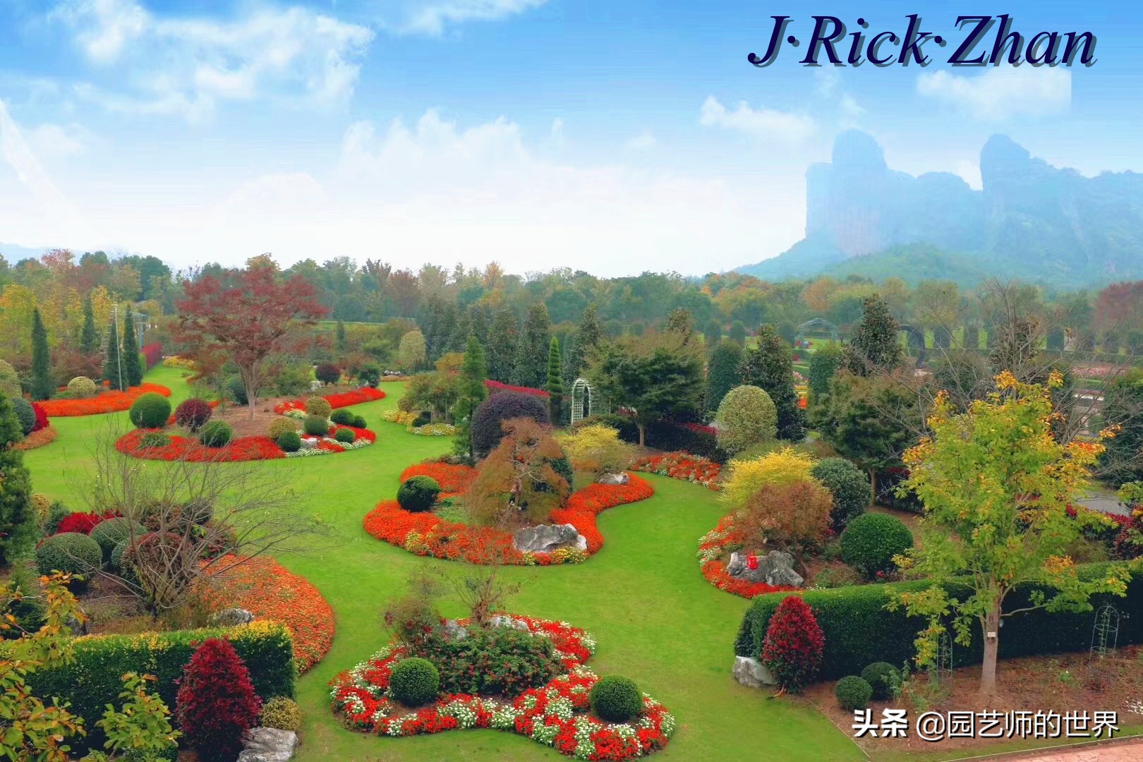 城市蔬菜园景观设计,蔬菜花园造型