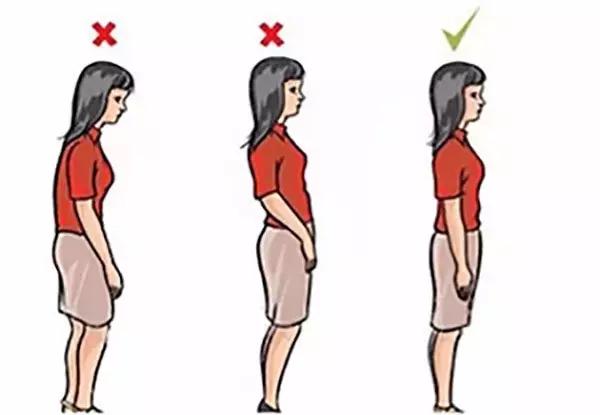 零基础学唱歌的正确步骤,零基础学唱歌的步骤和方法