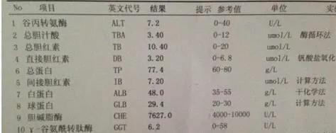 辟谣肝功能,丙肝应要如何护肝医生告诉你