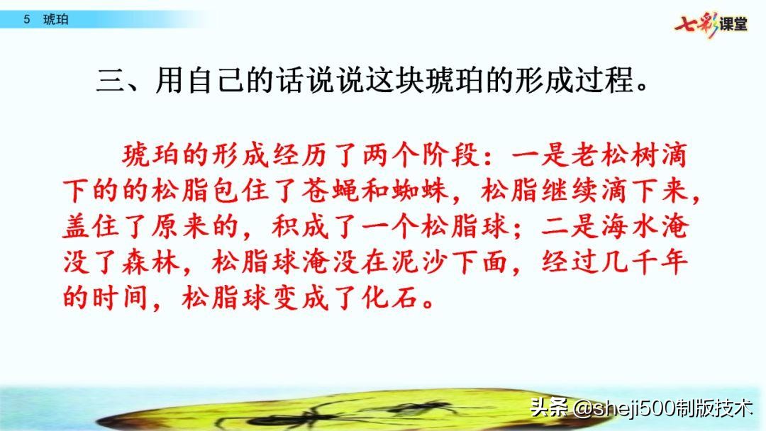 语文书四年级下册第5课琥珀预习,四年级下册第5课琥珀的思维导图