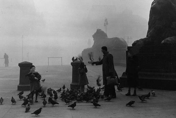 雾都伦敦视频,雾都伦敦最新消息