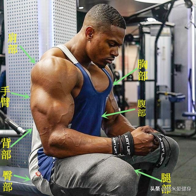 健身房全身训练计划,健身房全身肌肉一周训练计划