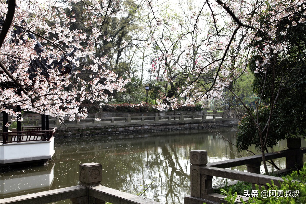 全国百强高中苏州有几个,苏州实验中学科技城校区