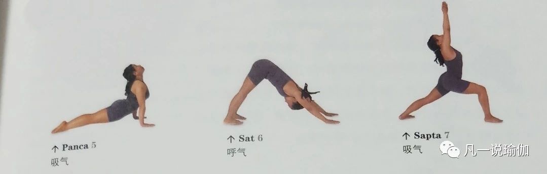 瑜伽拜日口令动作讲解,瑜伽拜日口令版零基础入门必学