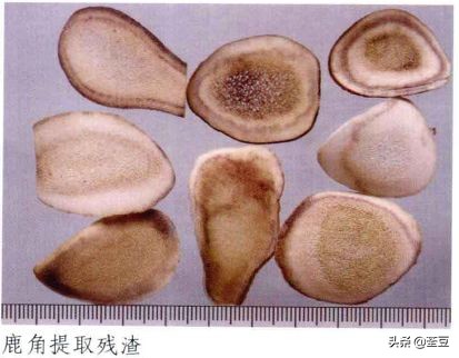 鹿茸造假事件,鹿茸造假手段有哪些