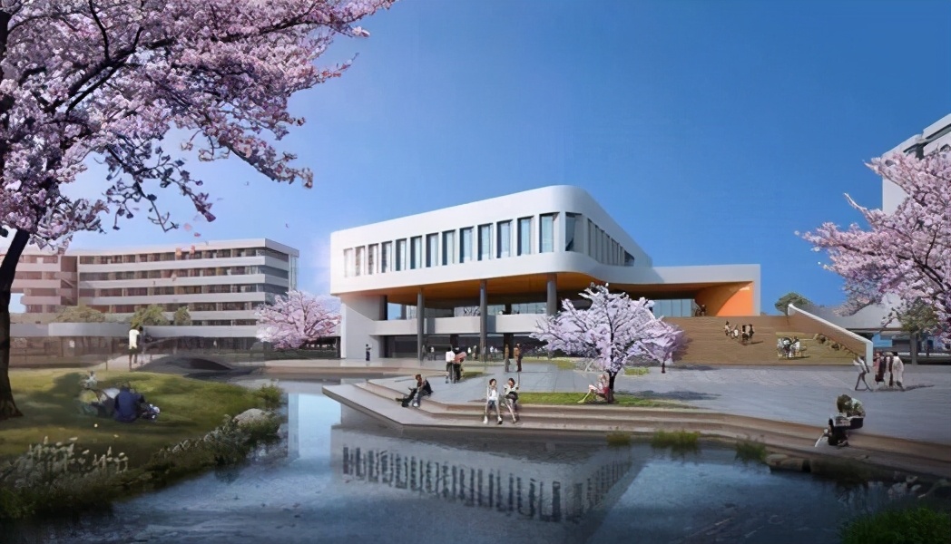 杭州湾新区学区划分2024年,杭州湾滨海小学学区房