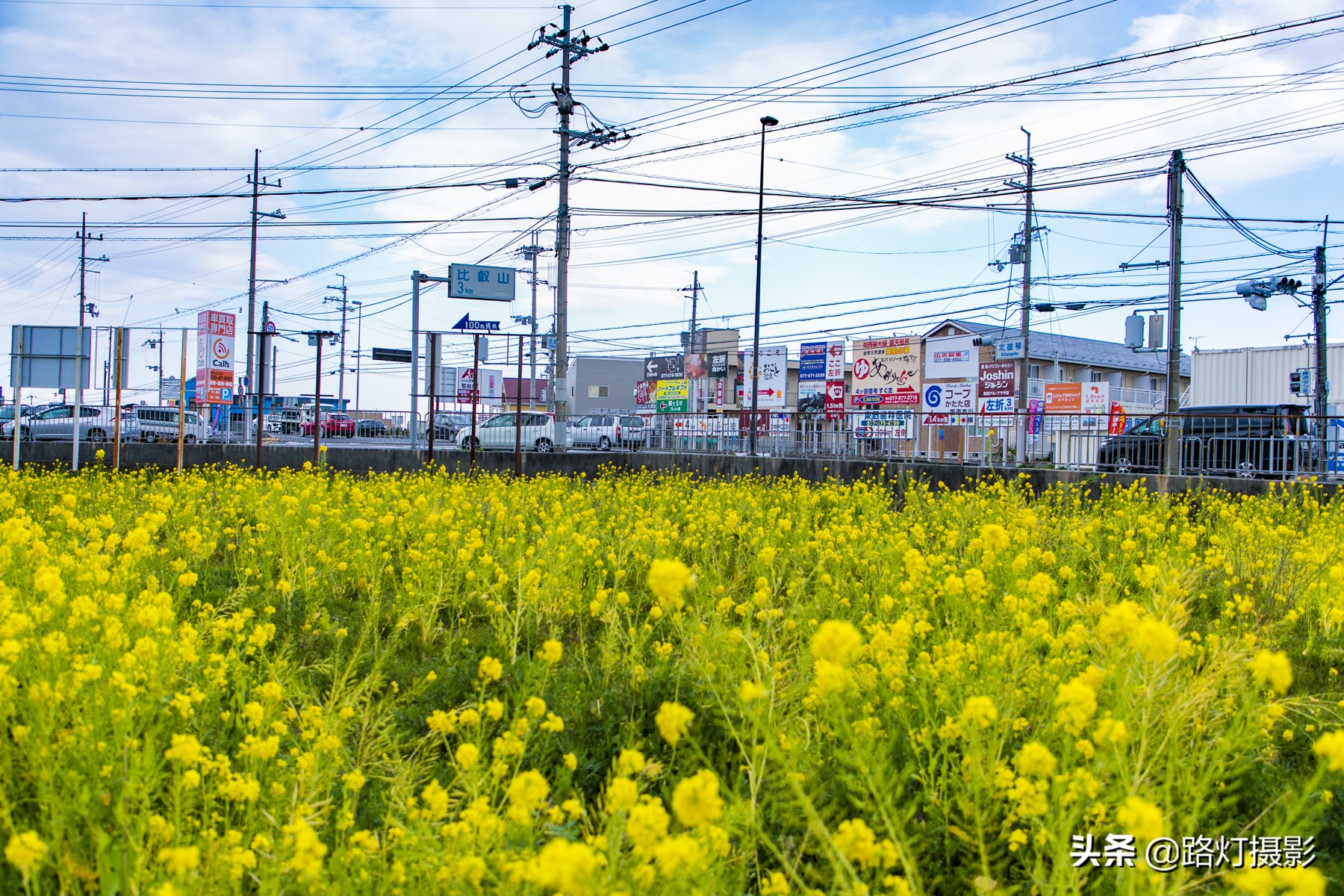 2020日本赏樱花路线,赏樱季去日本看全球最美樱花