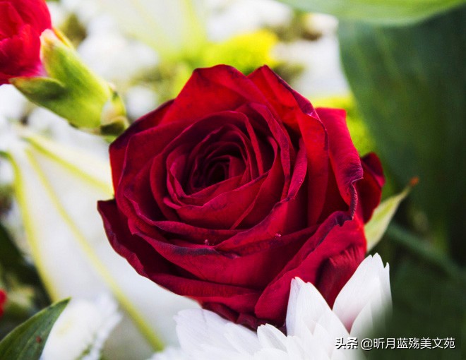 往后余生要释怀,学着释怀往后余生好好爱自己