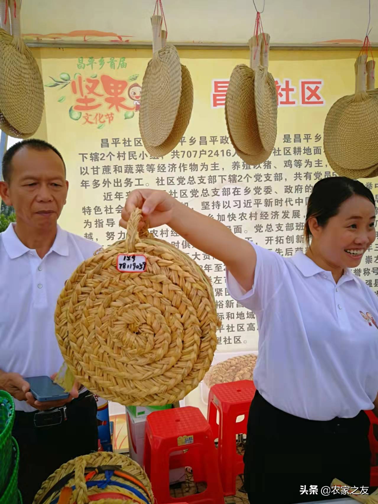 扶绥县昌平坚果苗,扶绥昌平坚果种植基地