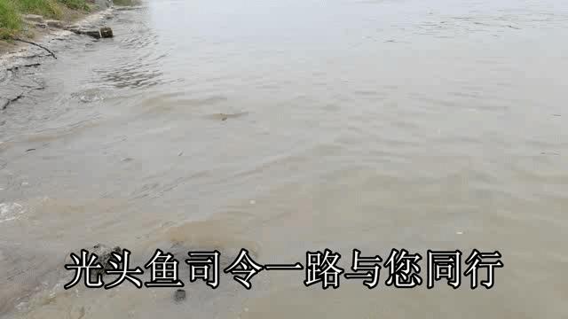 含氧量过高鱼好钓吗,钓鱼怎样判断含氧量高和低