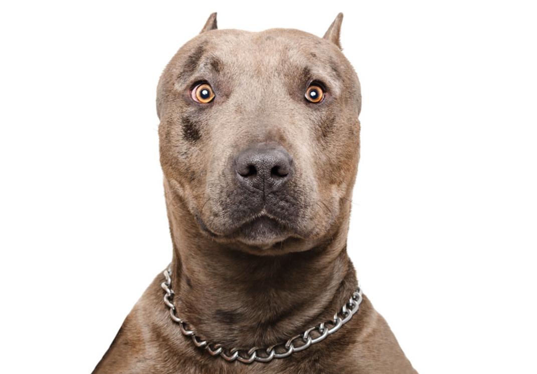 聊一聊我的奇葩收藏—衣服吊牌