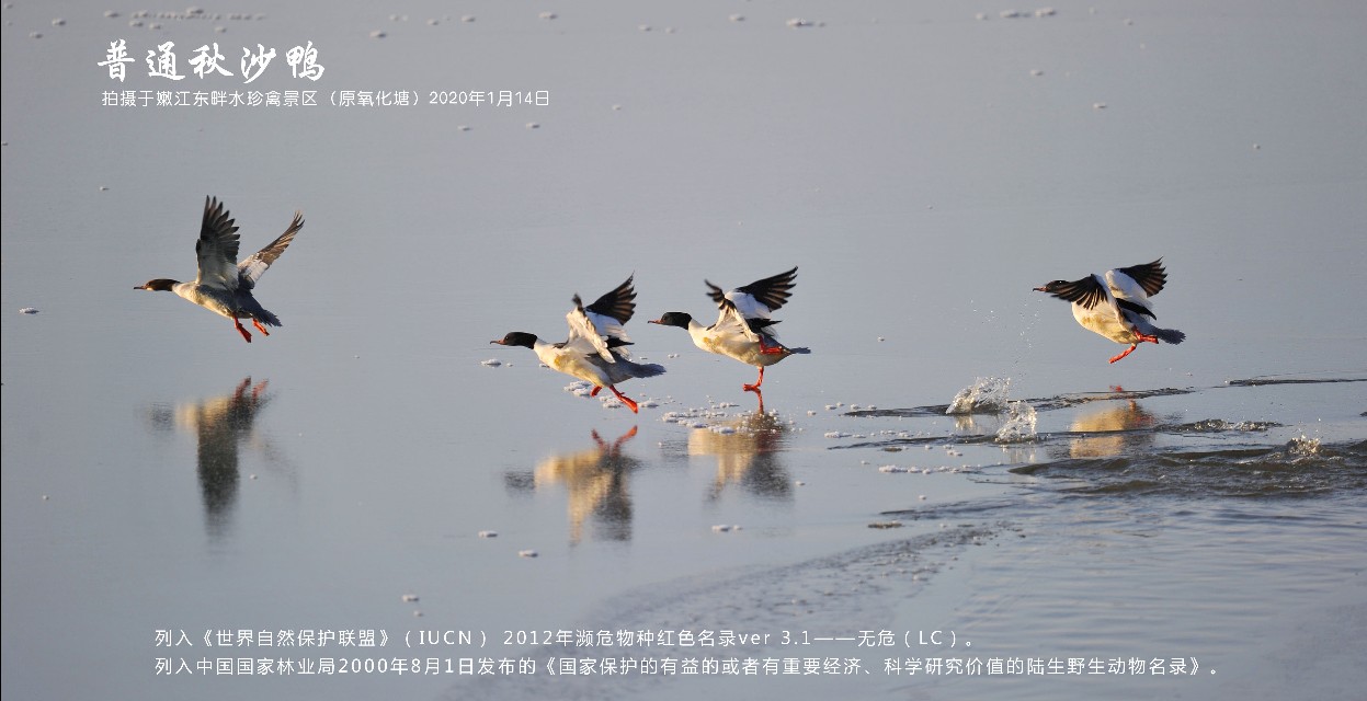 榻愰綈鍝堝皵瀚╂睙涓滄按鐝嶇鍏洯,榻愰綈鍝堝皵瀚╂睙涓滄按鐝嶇婀垮湴鍏洯