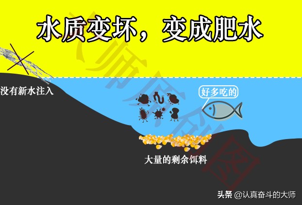 水太肥钓不到鱼怎么办,水太肥钓深还是浅